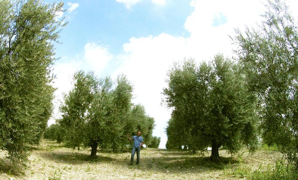 Aia Di Lazzaro Agriturismo Casalbore エクステリア 写真
