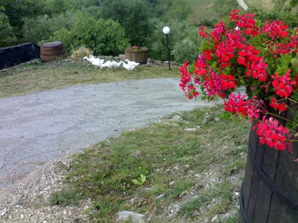 Aia Di Lazzaro Agriturismo Casalbore エクステリア 写真